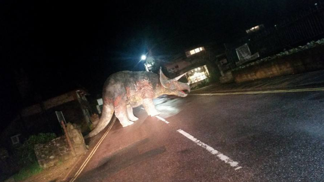 Triceratops in road!