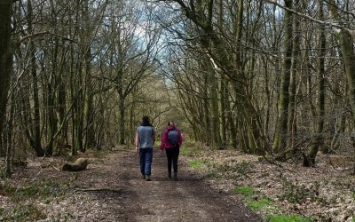 Tennyson Trail on a sunny April day